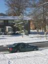 First snow of the season (the day after)