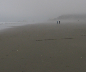 SF fog
